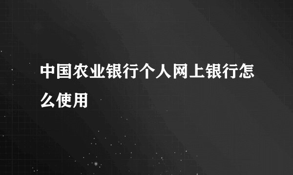中国农业银行个人网上银行怎么使用