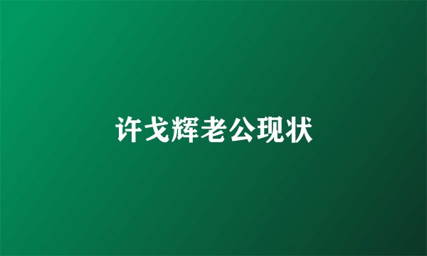 许戈辉老公现状