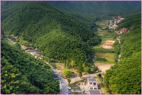 dale是什么意思/发音是什么？
