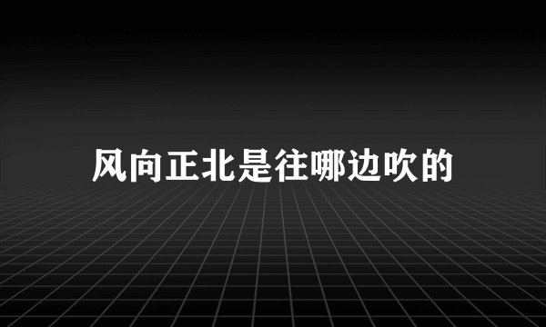 风向正北是往哪边吹的