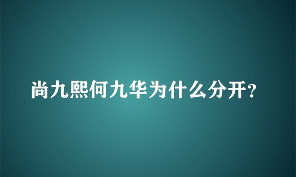 尚九熙何九华为什么分开？