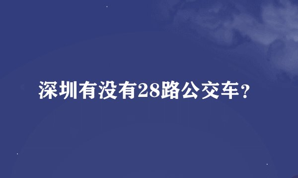 深圳有没有28路公交车？