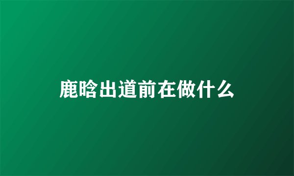 鹿晗出道前在做什么
