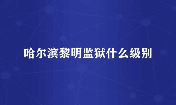 哈尔滨黎明监狱什么级别