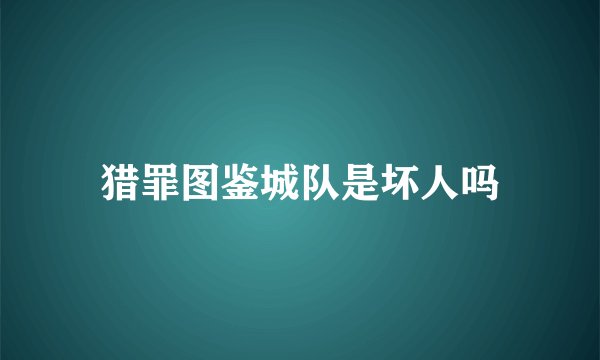 猎罪图鉴城队是坏人吗