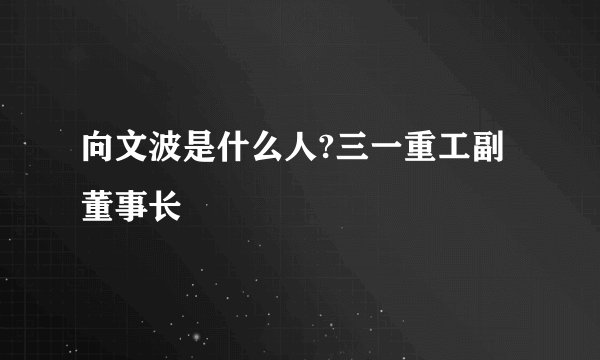 向文波是什么人?三一重工副董事长