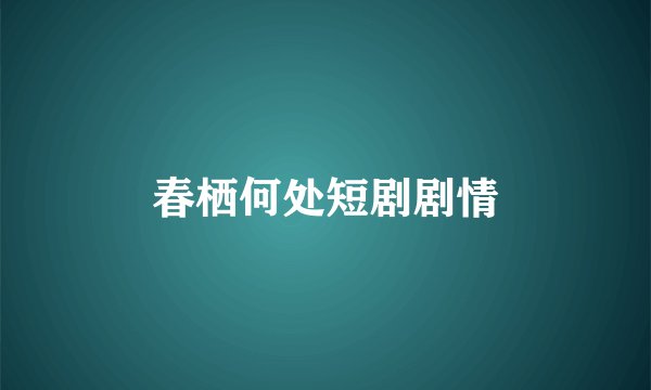 春栖何处短剧剧情