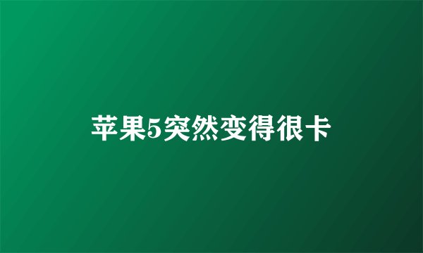 苹果5突然变得很卡