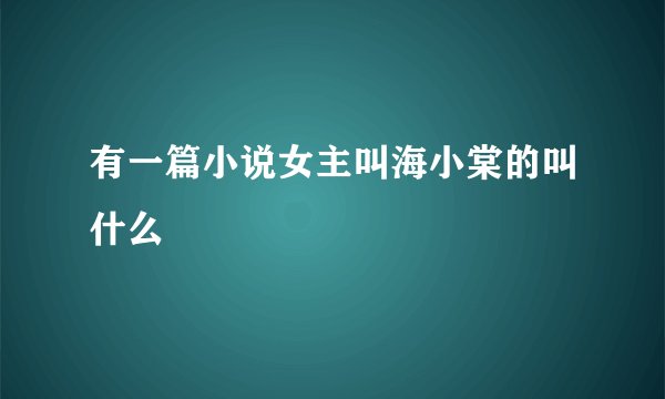 有一篇小说女主叫海小棠的叫什么