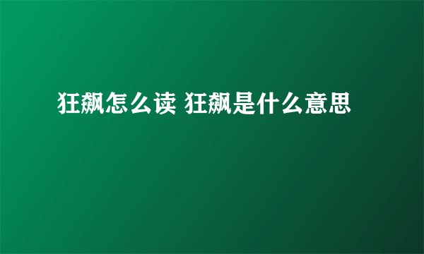 狂飙怎么读 狂飙是什么意思