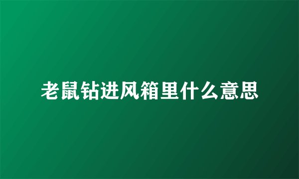 老鼠钻进风箱里什么意思