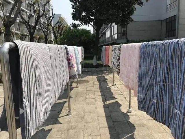 感官炸裂!室友被子长蘑菇小伙帮忙剪掉,这宿舍能住人吗?