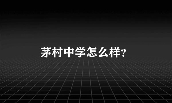 茅村中学怎么样？