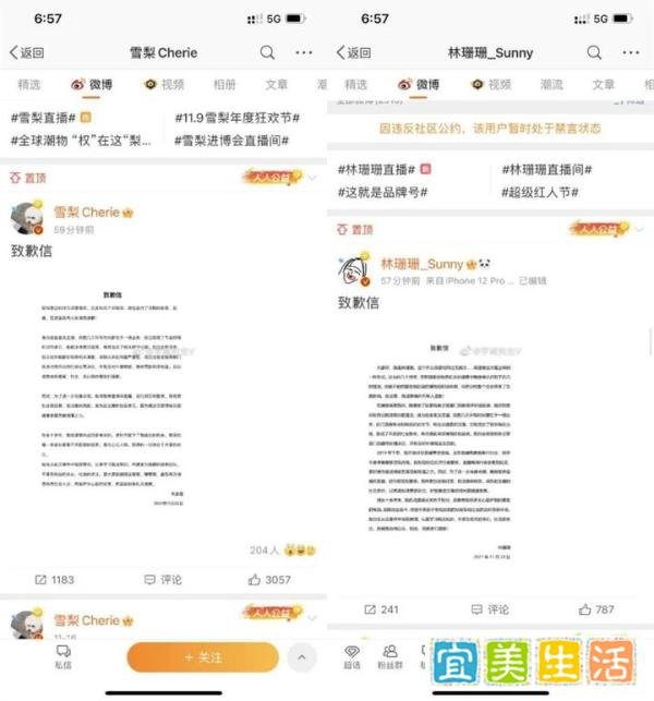 两大网红逃税数额巨大，共被罚款超9千万！雪梨和林珊珊发文致歉