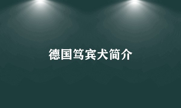德国笃宾犬简介