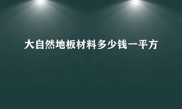 大自然地板材料多少钱一平方