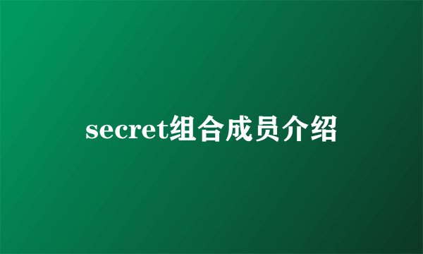 secret组合成员介绍