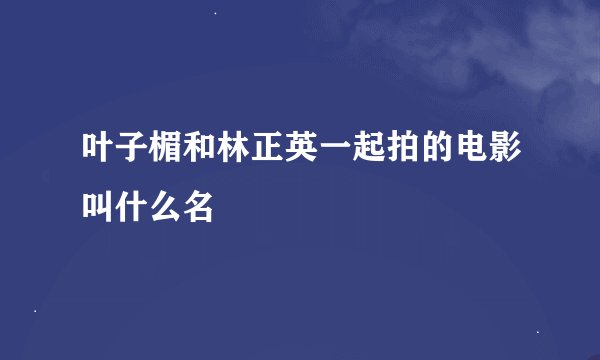 叶子楣和林正英一起拍的电影叫什么名