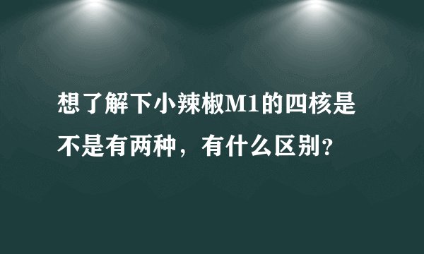 想了解下小辣椒M1的四核是不是有两种，有什么区别？