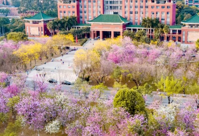 华南农业大学2023录取分数线