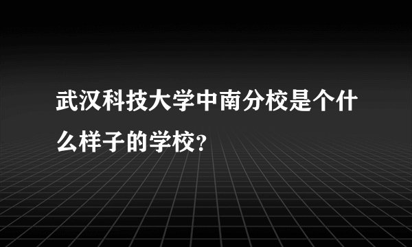 武汉科技大学中南分校是个什么样子的学校？