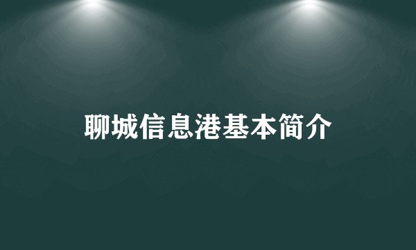 聊城信息港基本简介