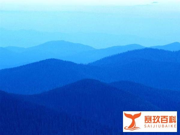 全球新冠患者累计确诊突破2亿人！