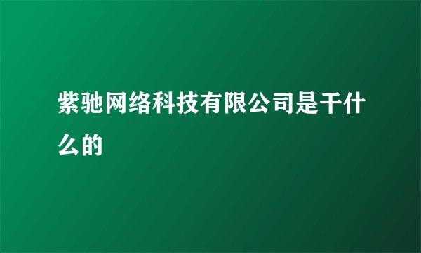 紫驰网络科技有限公司是干什么的