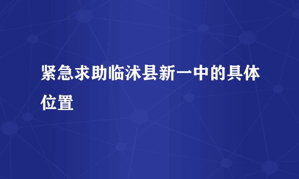 紧急求助临沭县新一中的具体位置