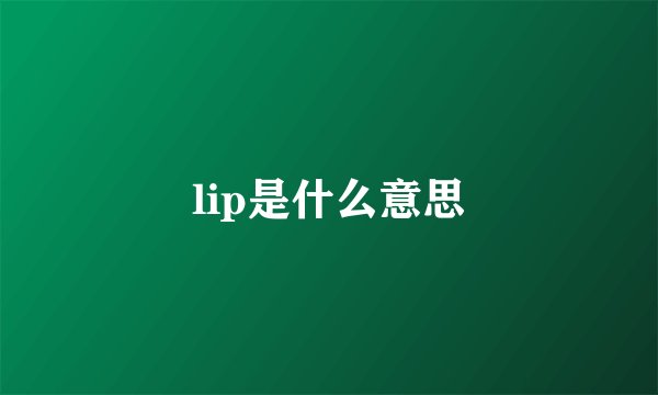 lip是什么意思