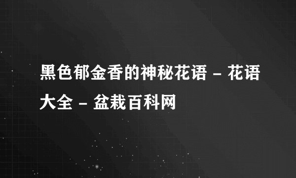 黑色郁金香的神秘花语 - 花语大全 - 盆栽百科网
