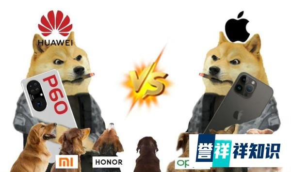 华为P60发布时间官宣！！