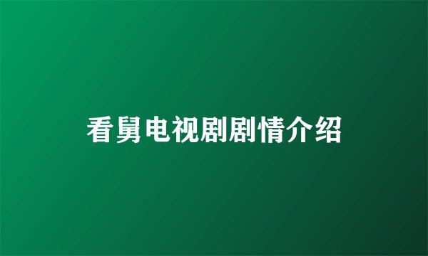 看舅电视剧剧情介绍