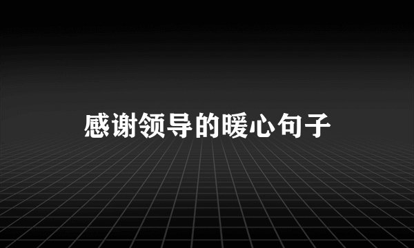 感谢领导的暖心句子