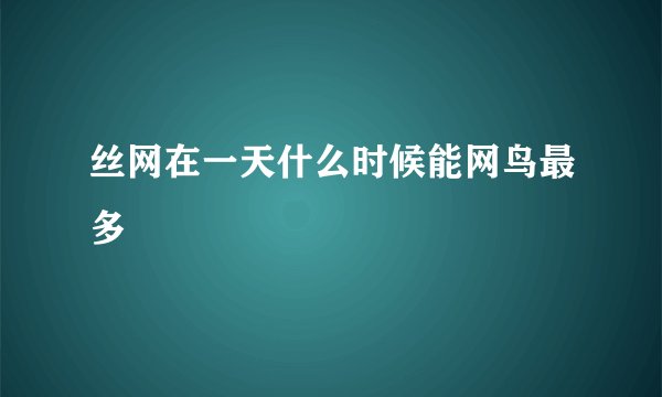 丝网在一天什么时候能网鸟最多