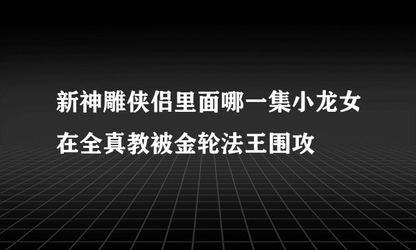 新神雕侠侣里面哪一集小龙女在全真教被金轮法王围攻