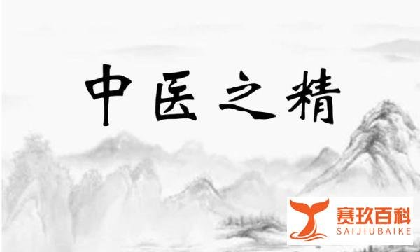 中医基础：人体之精