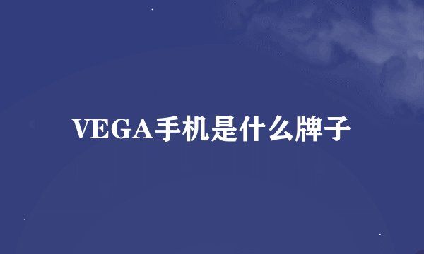 VEGA手机是什么牌子