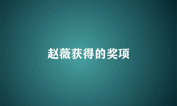 赵薇获得的奖项