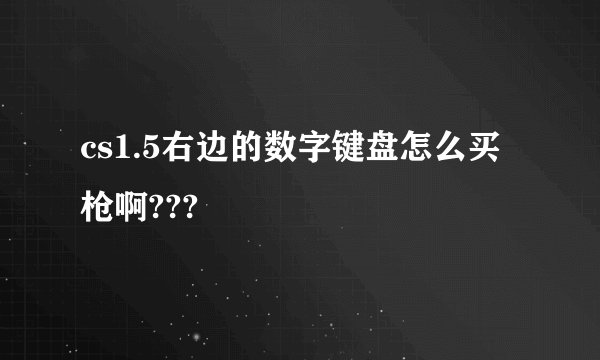 cs1.5右边的数字键盘怎么买枪啊???
