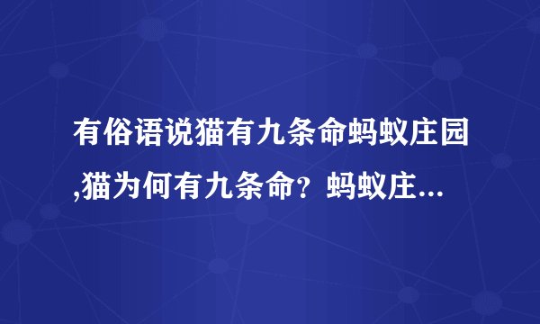 有俗语说猫有九条命蚂蚁庄园,猫为何有九条命？蚂蚁庄园解开真相！