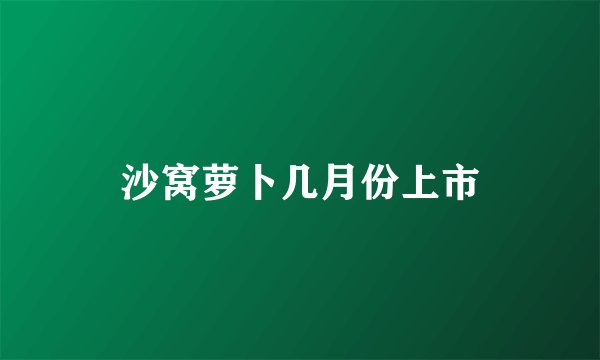 沙窝萝卜几月份上市