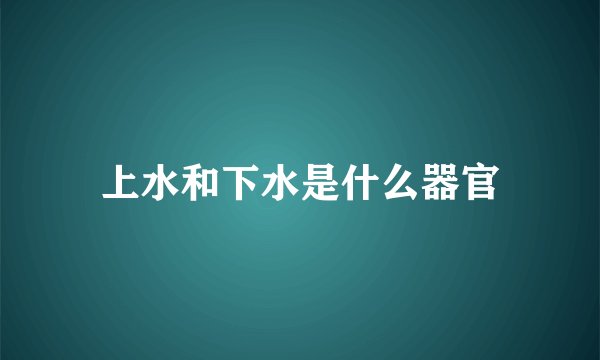 上水和下水是什么器官