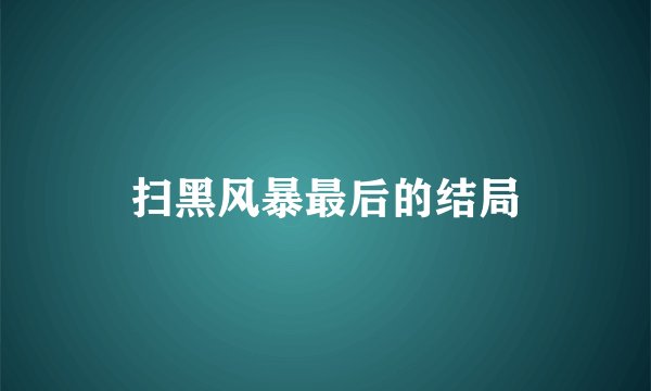 扫黑风暴最后的结局