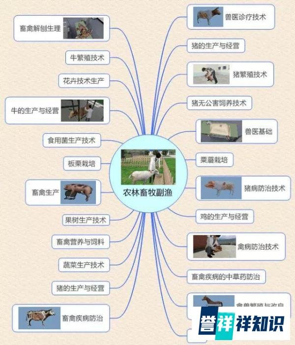 让座院士走红!其实20年前他已经火了一把