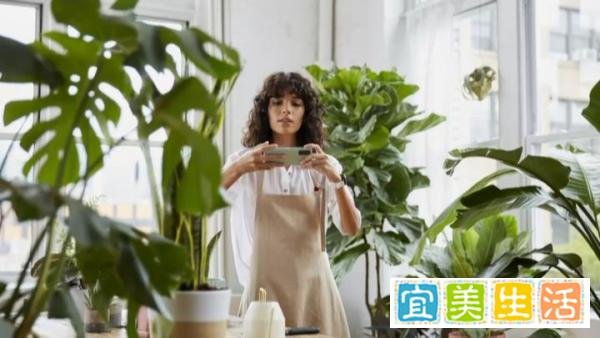 多彩设计融合一流体验 三星Galaxy S20 FE 5G正式发布