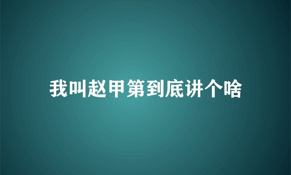 我叫赵甲第到底讲个啥