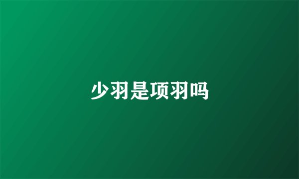 少羽是项羽吗