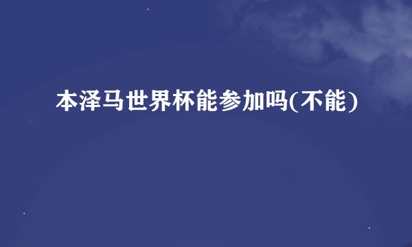 本泽马世界杯能参加吗(不能)