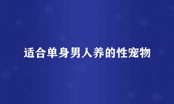 适合单身男人养的性宠物